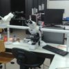 multiheaded microscope